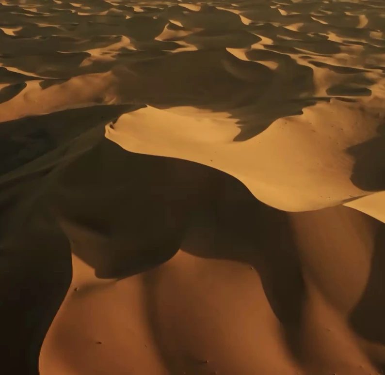 [contact.foto-tekst.foto_alt]